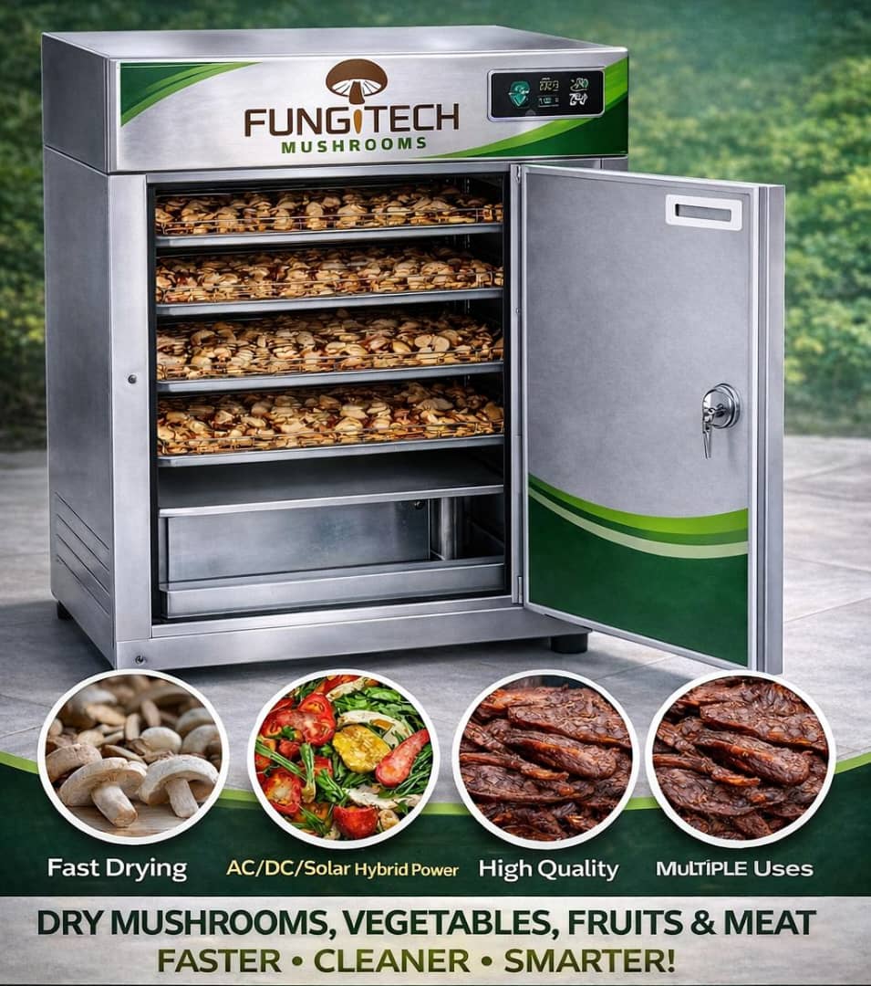 Mushroom Drying Machine